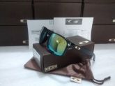 Oakley Holbrook Black Gold